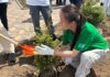 Экофестиваль без границ: как молодёжь Коргалжынского района изменила атмосферу Егиндыколя